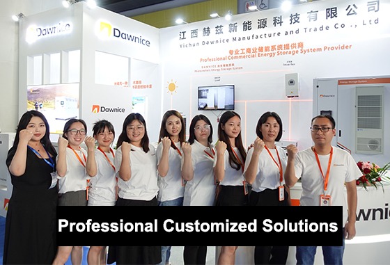 Professional Customized Solutions