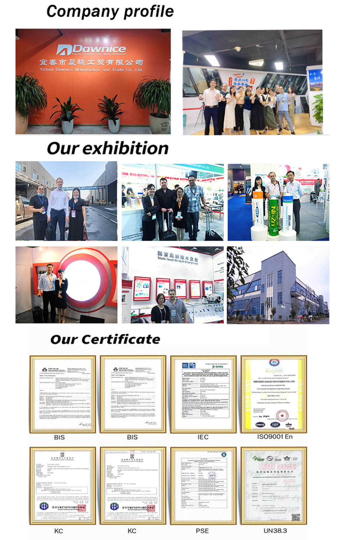 dawnice company profile dawnice company profile