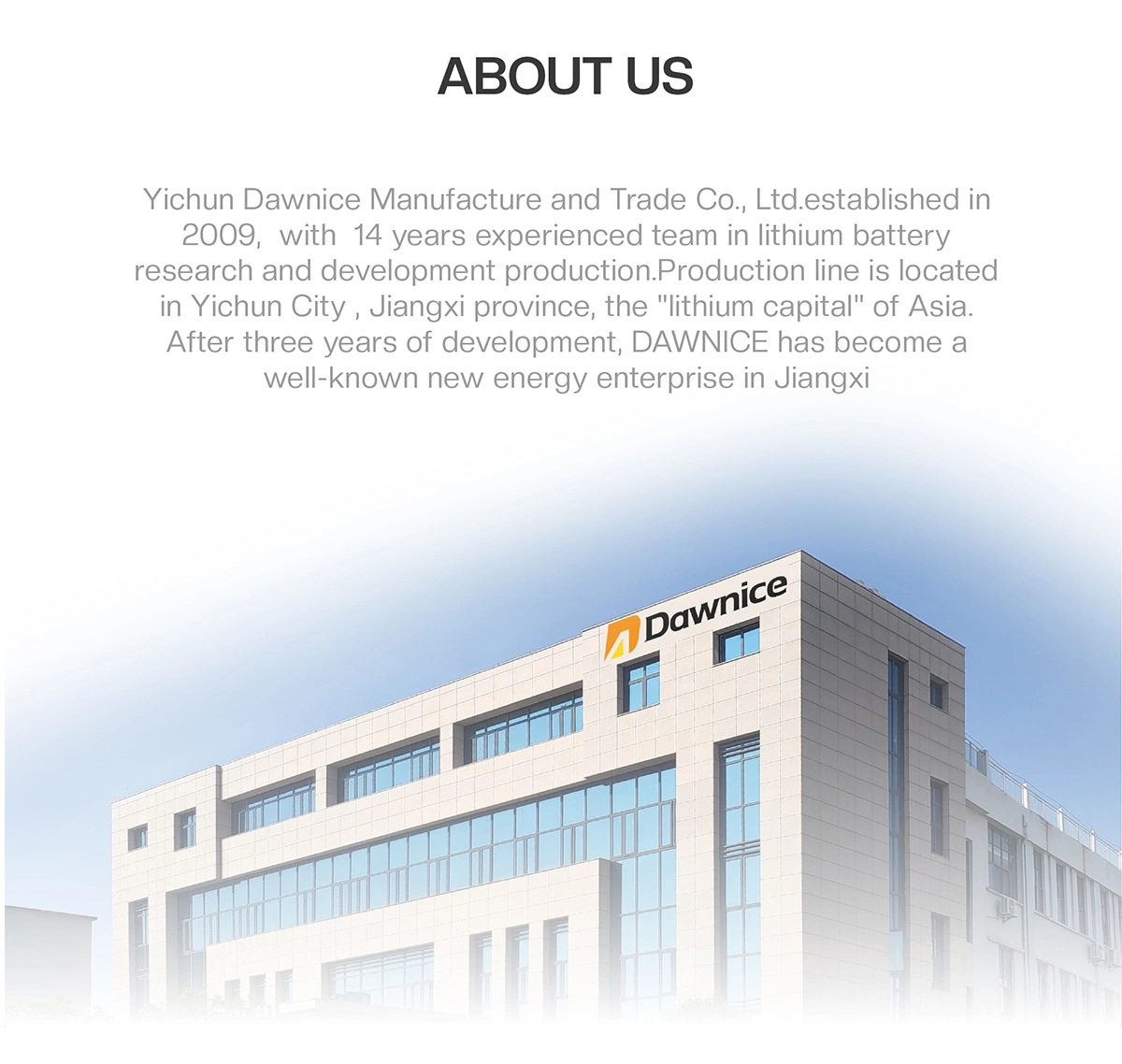 company profile company profile