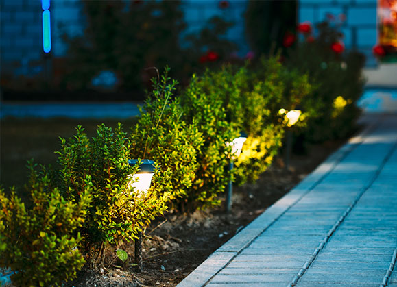 For Garden Lighting & Security For Garden Lighting & Security