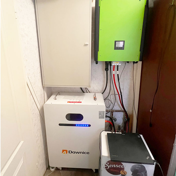 Wall-Mounted Energy Storage System Deployment for Germany Clients Mali wall-mounted household energy storage battery case