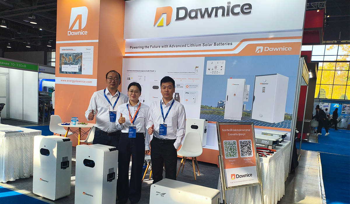 Dawnice Energy UZ Energy Expo-2025