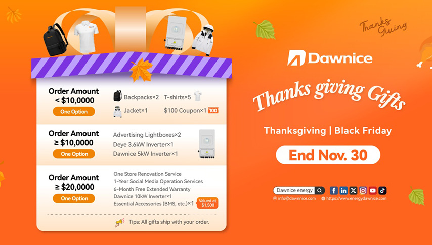 Dawnice Thanksgiving Energy Celebration