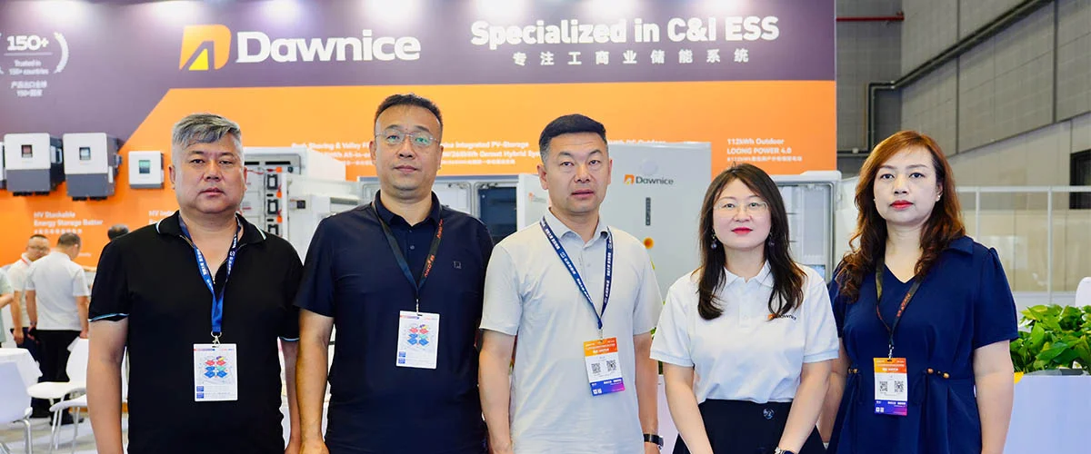 Dawnice Team with Global Clients at SNEC 2026 Booth