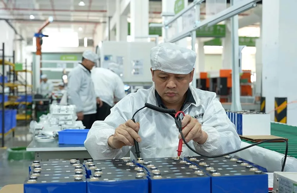 01-cell-sorting-testing