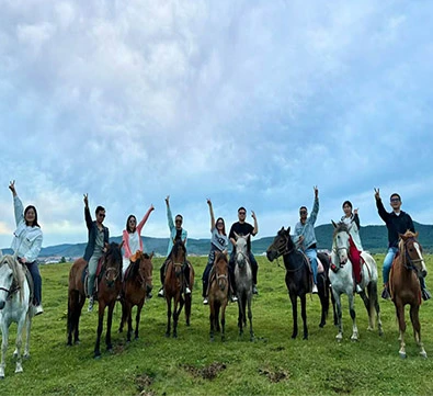 ride-horse